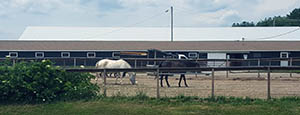 Smith Equine Center with horses grazing in adjoining fenced area, July 2016.