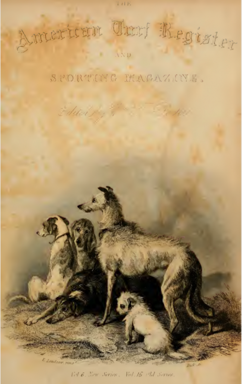Old line drawing of sporting dogs taken from American Turf Register magazine, 1844