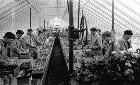 Agriculture class in greenhouse 1905