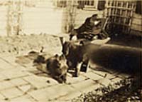 e.55
